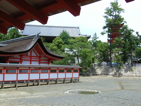 厳島神社鏡の池2