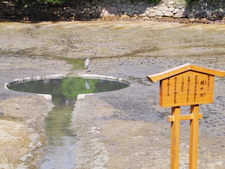 厳島神社鏡の池4